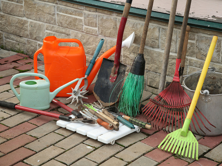 Грядки строгого режима: как уборка дачного участка может привести к протоколу и штрафу — МК