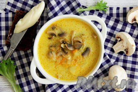 Сливочный суп с шампиньонами и плавленным сыром: 13 фото в рецепте