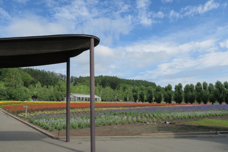 Как сделать навес для машины из профильной трубы и поликарбоната