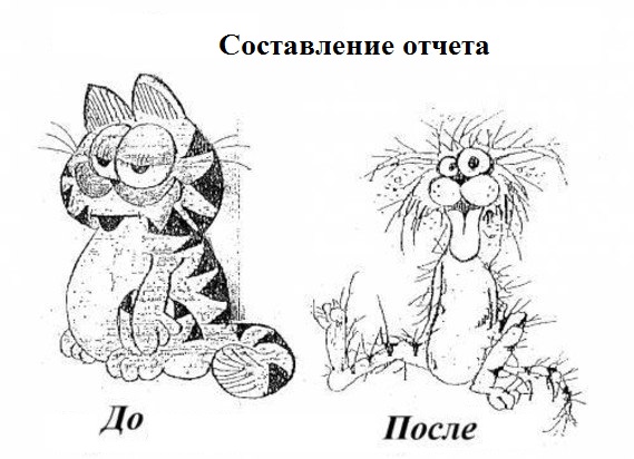 Краткий гид по написанию отчетов