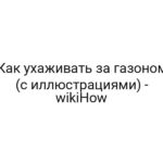 Как ухаживать за газоном (с иллюстрациями) — wikiHow