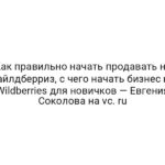 Как правильно начать продавать на Вайлдберриз, с чего начать бизнес на Wildberries для новичков — Евгения Соколова на vc. ru