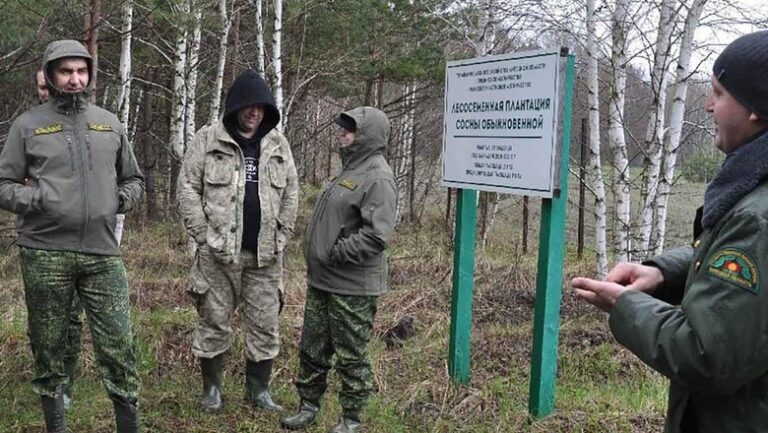 Делегатам Подмосковья показали уникальные плантации леса в Липецкой области