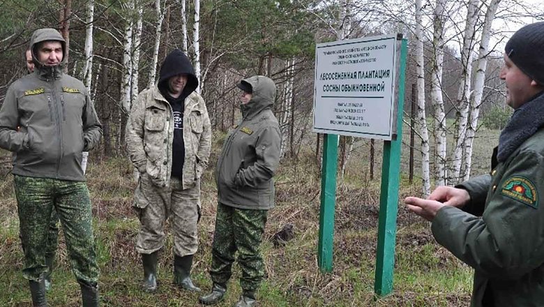 Делегатам Подмосковья показали уникальные плантации леса в Липецкой области