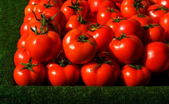 Ереван надеется на скорое разрешение проблемы со ввозом продуктов в Россию